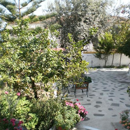 شقة Sunrise Flora Agia Marina  المظهر الخارجي الصورة