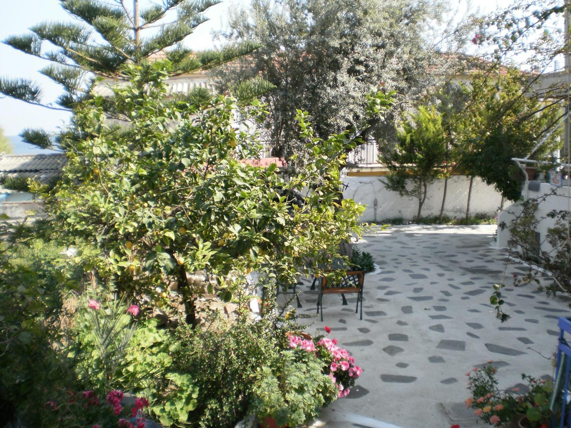 شقة Sunrise Flora Agia Marina  المظهر الخارجي الصورة
