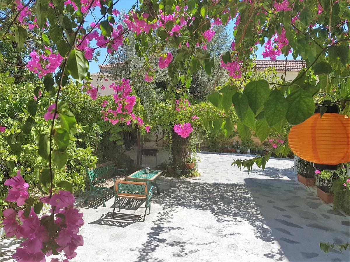 شقة Sunrise Flora Agia Marina  المظهر الخارجي الصورة